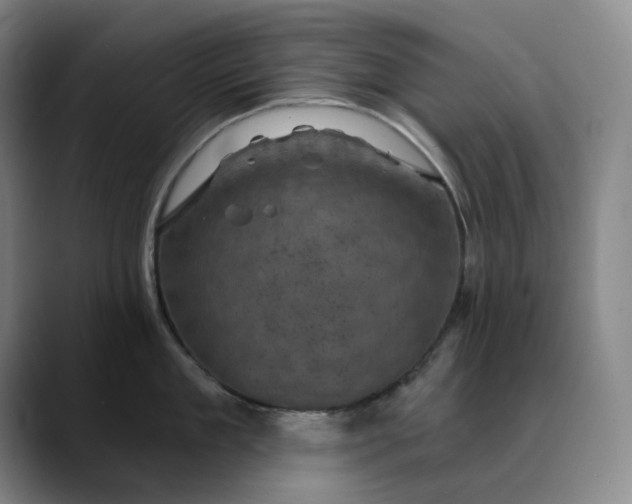 X0000088690909200706141410