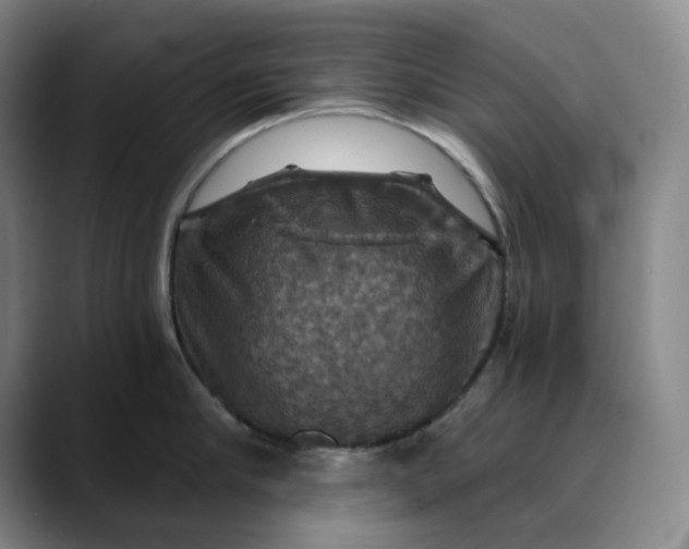 X0000088690910200706141410