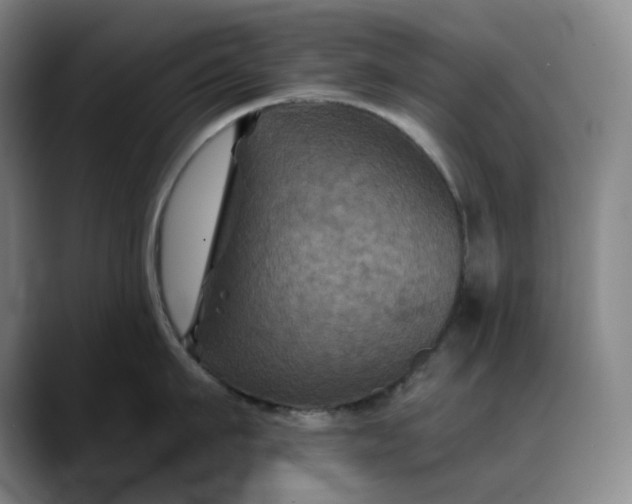 X0000088690911200706141410