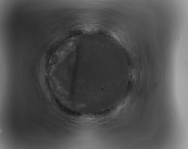 X0000088690913200706141409