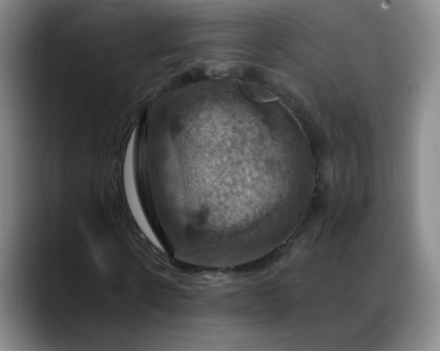 X0000088690914200706141409