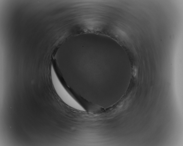 X0000088690915200706141409