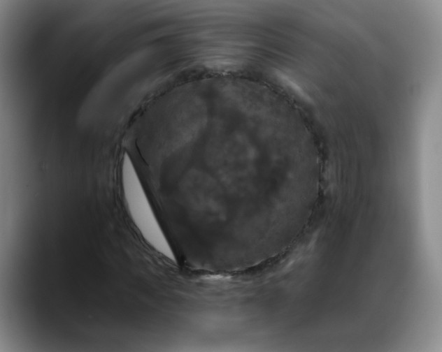 X0000088690917200706141409