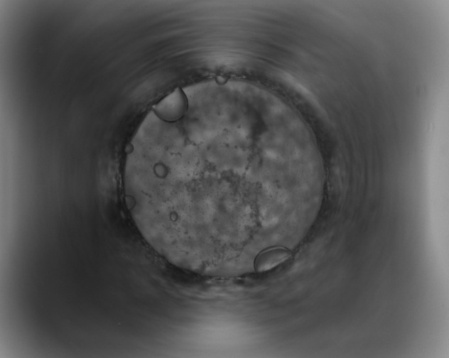 X0000088690918200706141409