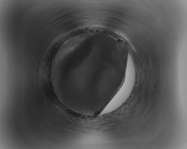 X0000088690919200706141409