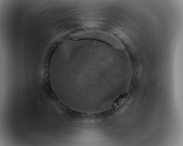 X0000088690920200706141409