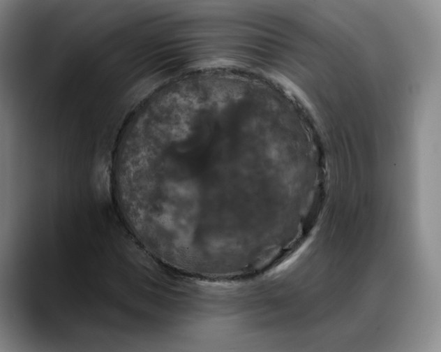 X0000088690921200706141409