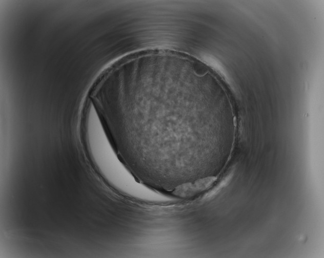 X0000088690924200706141409