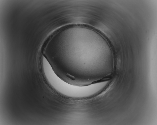 X0000088690926200706141409