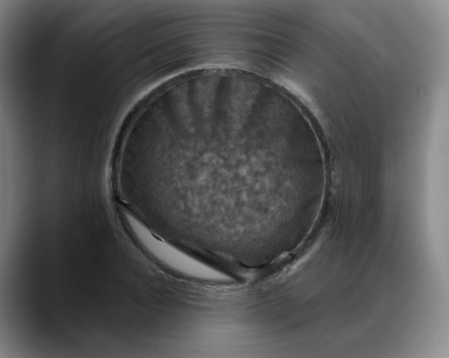 X0000088690928200706141409