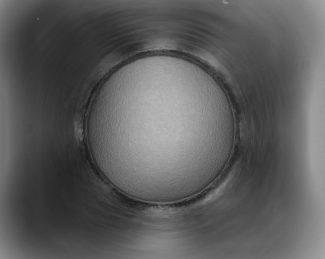 X0000088690929200706141409