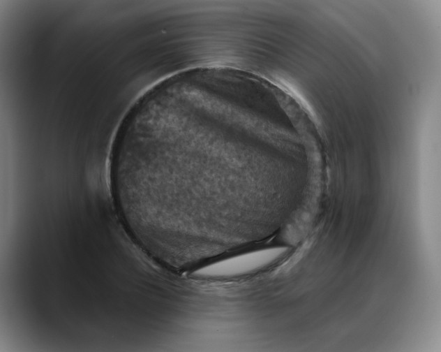 X0000088690932200706141409