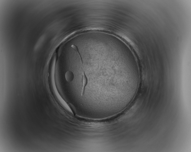 X0000088690933200706141410