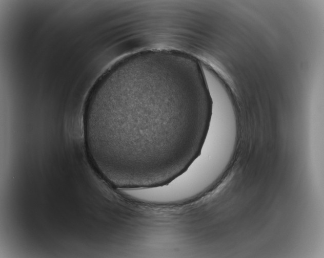 X0000088690934200706141410