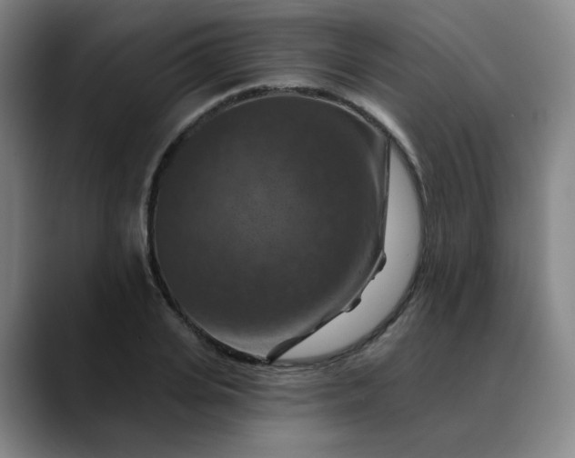 X0000088690935200706141410