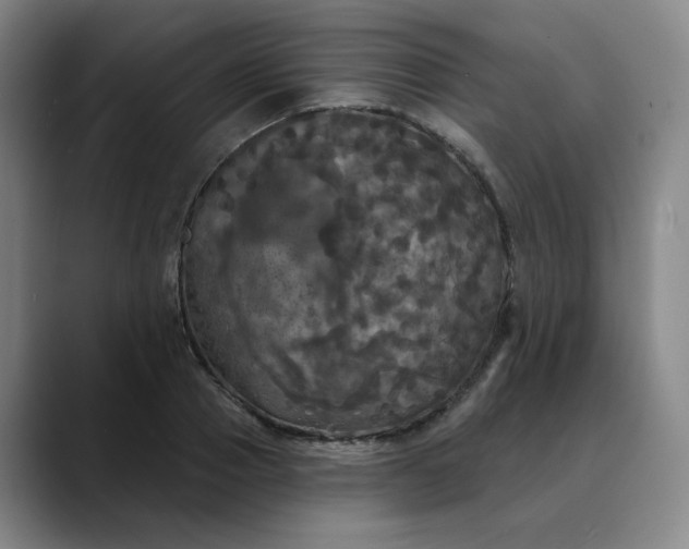 X0000088690937200706141410