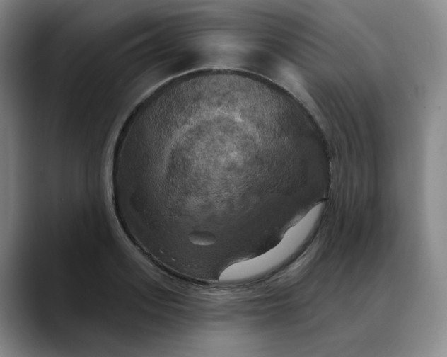 X0000088690939200706141410