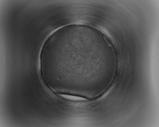 X0000088690940200706141410