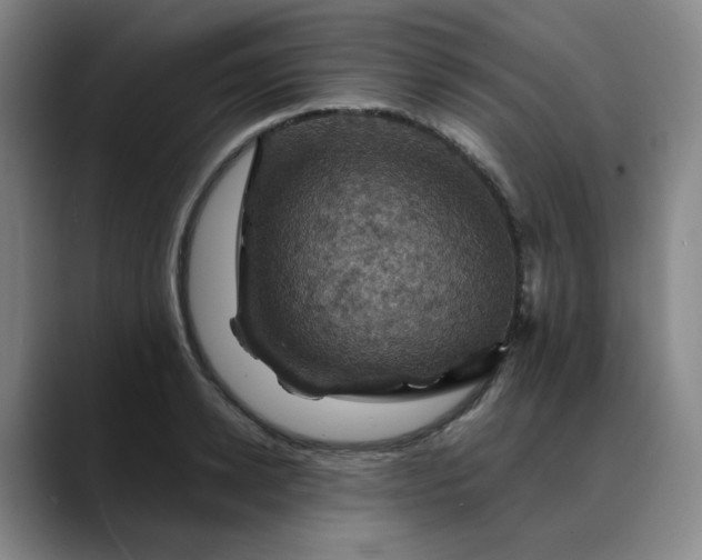 X0000088690942200706141410
