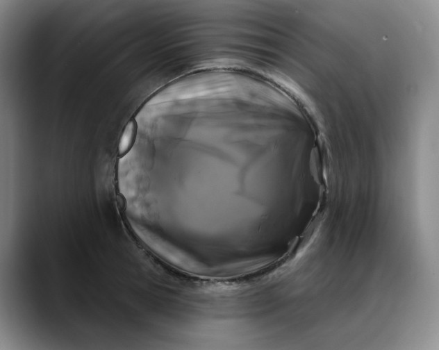X0000088690945200706141410