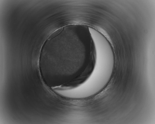 X0000088690946200706141410