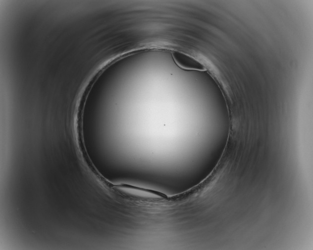 X0000088690947200706141410