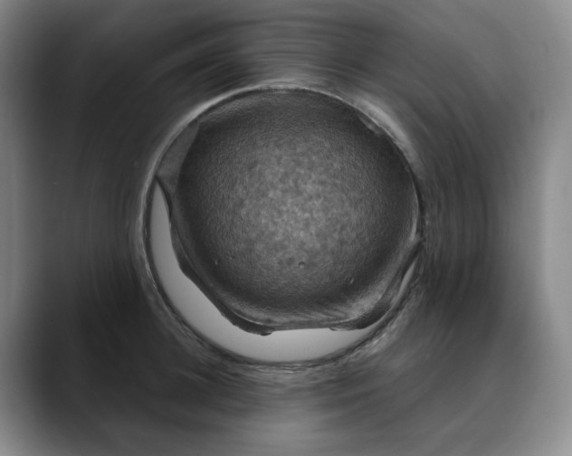 X0000088690948200706141410