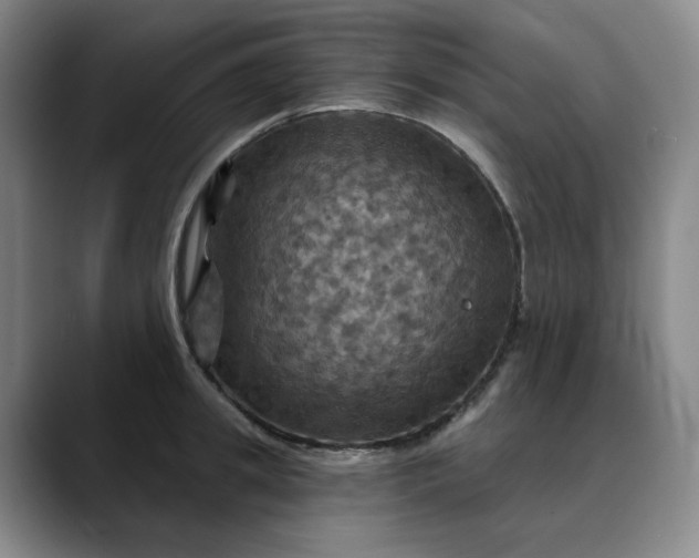 X0000088690949200706141410