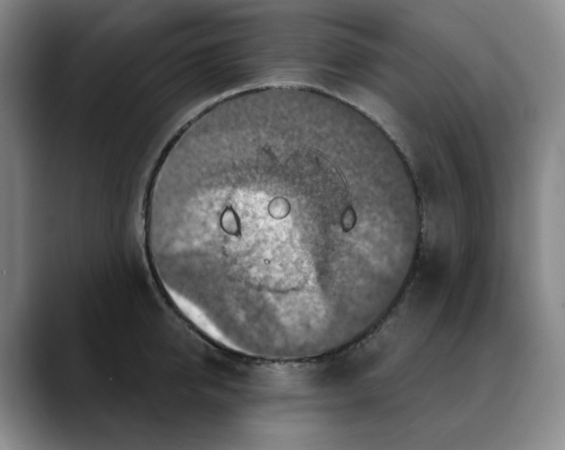 X0000088690950200706141410