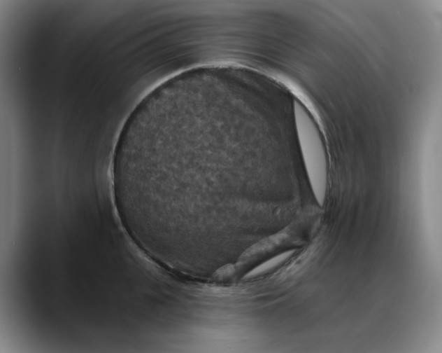 X0000088690951200706141410