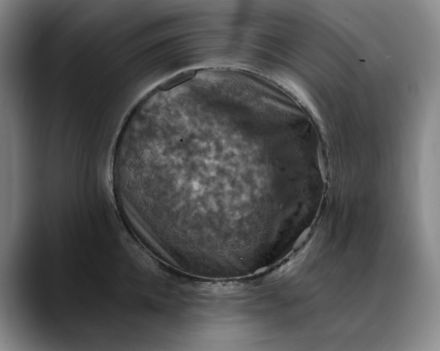 X0000088690952200706141410