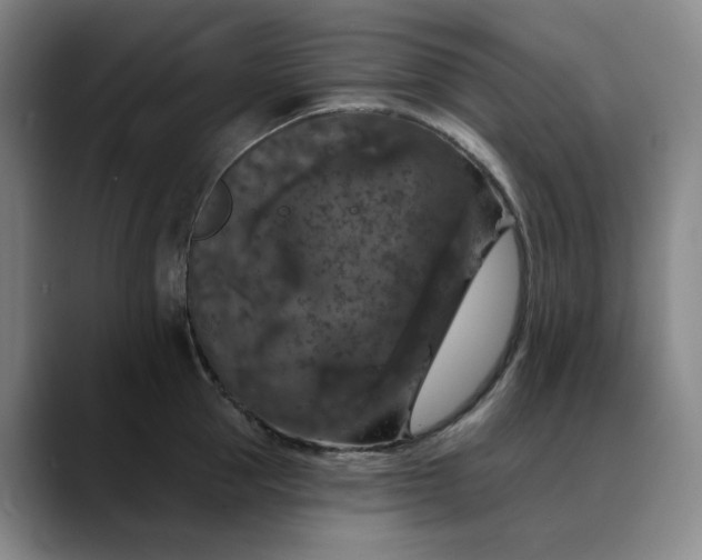X0000088690953200706141410