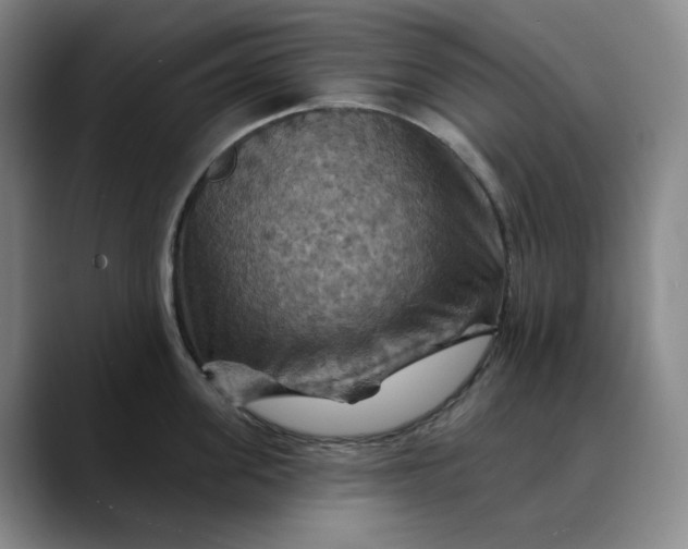 X0000088690955200706141410