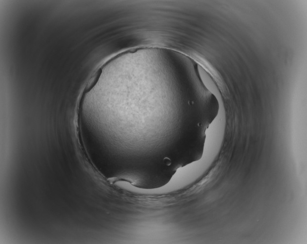 X0000088690956200706141410