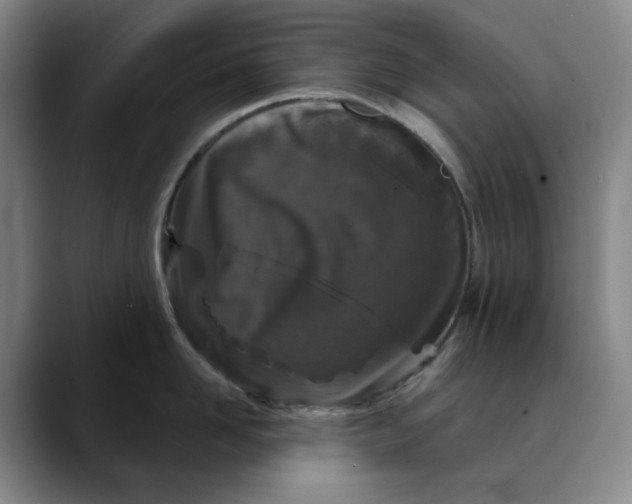 X0000088690958200706141410