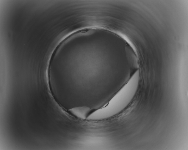 X0000088690959200706141410