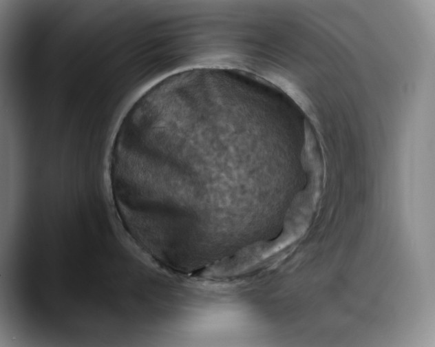 X0000088690960200706141410