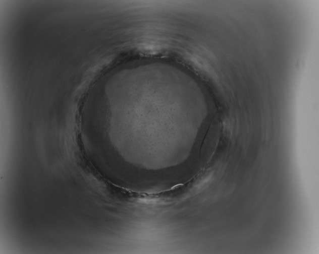 X0000088690961200706141409