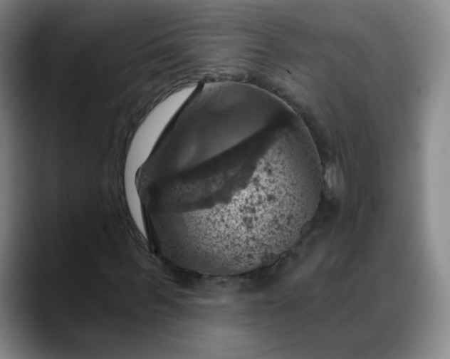X0000088690963200706141409