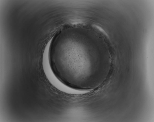 X0000088690965200706141409