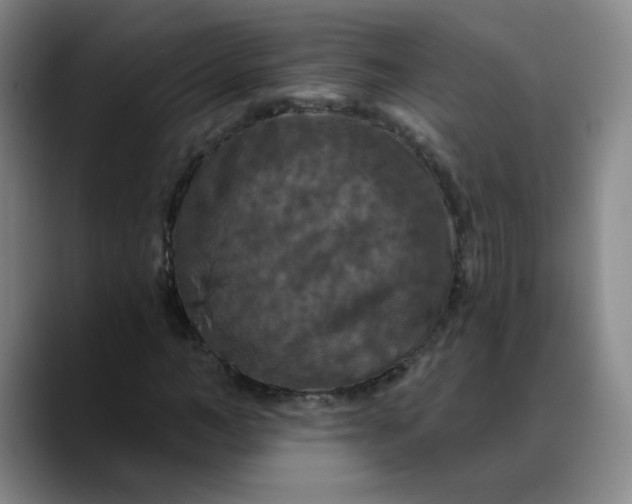 X0000088690966200706141409