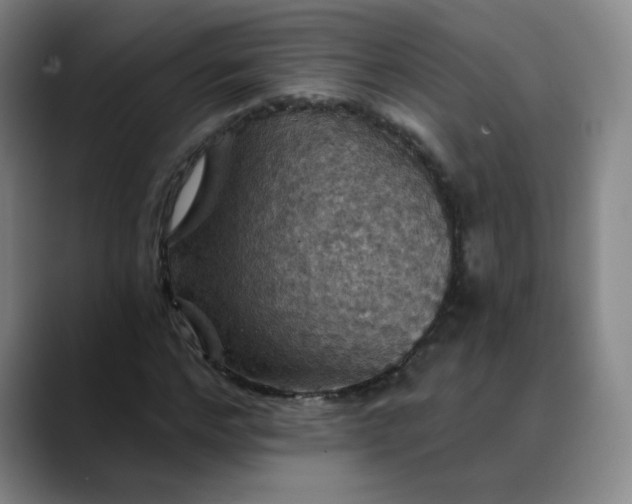 X0000088690968200706141409