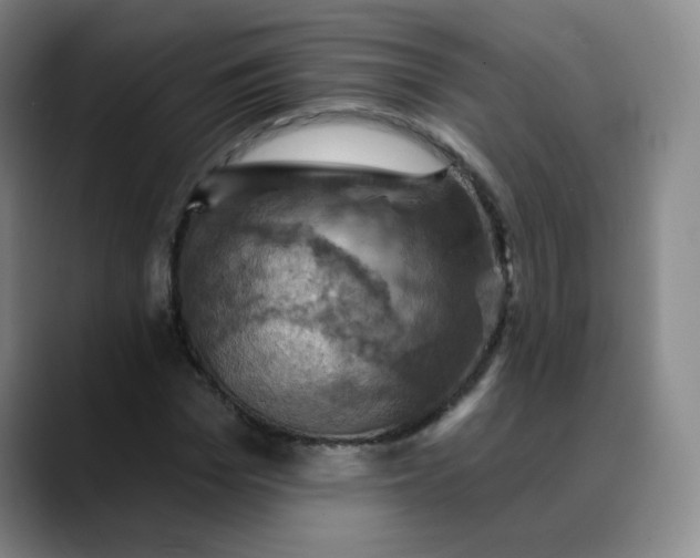 X0000088690969200706141409