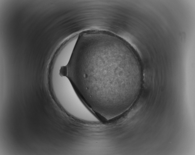 X0000088690972200706141409