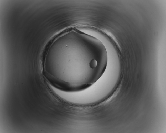 X0000088690973200706141409