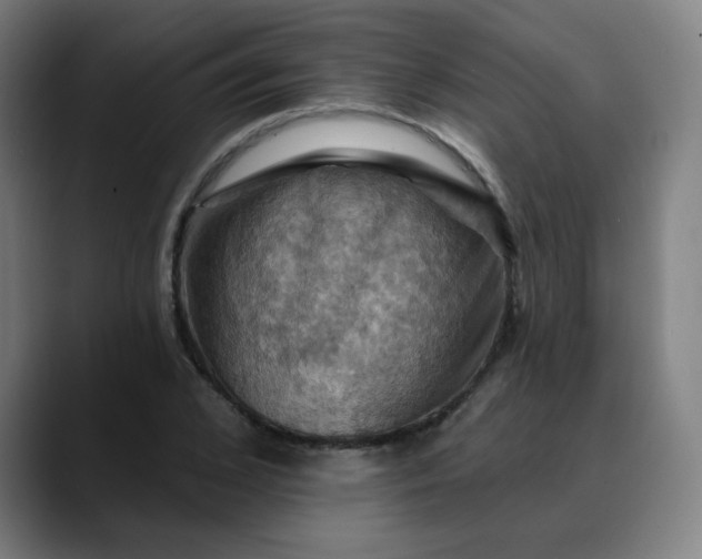 X0000088690976200706141409