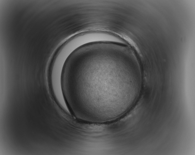 X0000088690981200706141409