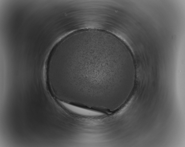 X0000088690983200706141409