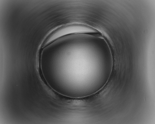 X0000088690984200706141409