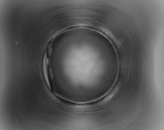 X0000088690985200706141409